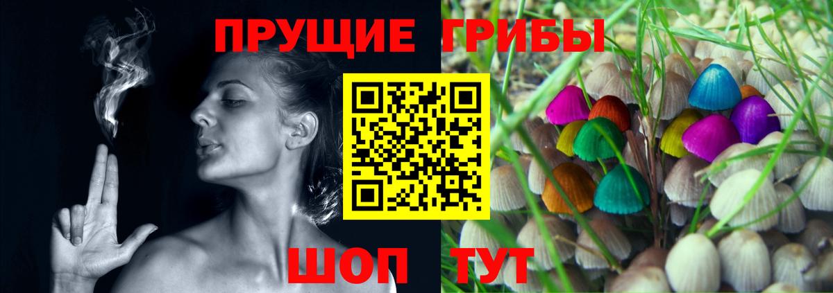 Псилоцибиновые грибы ЛСД  Вход с VPN  Галлюциногенные грибы ЛСД  Вязьма 